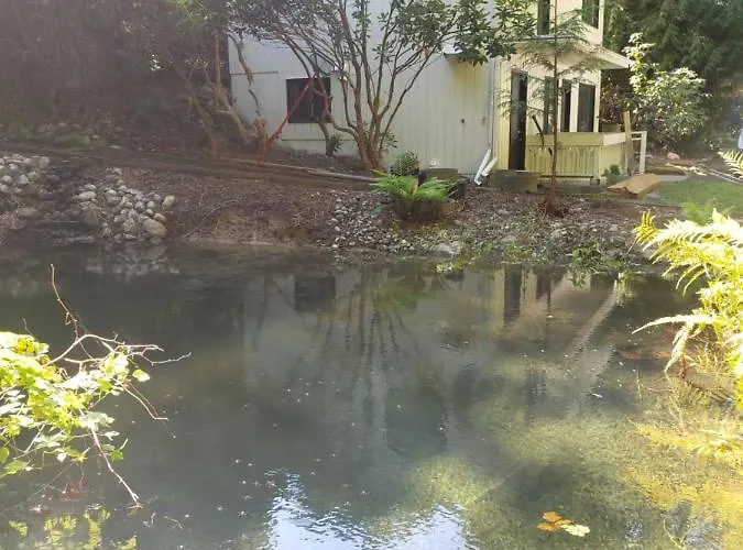 Cedar Pond Hotel Surrey