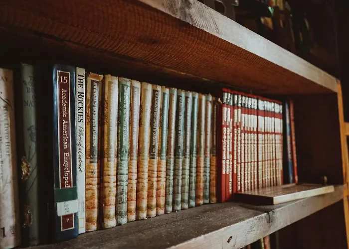 Mini-Mooh Cabin Clearwater