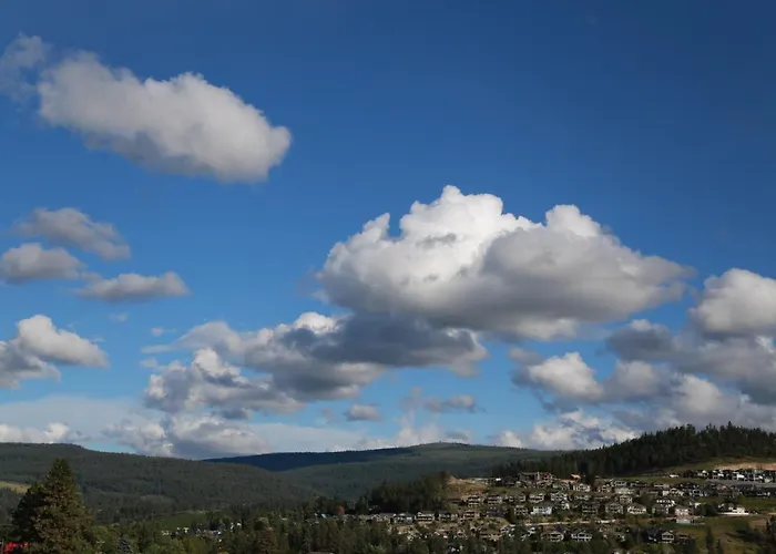 Yucca Tree-Licensed Hotel Kelowna