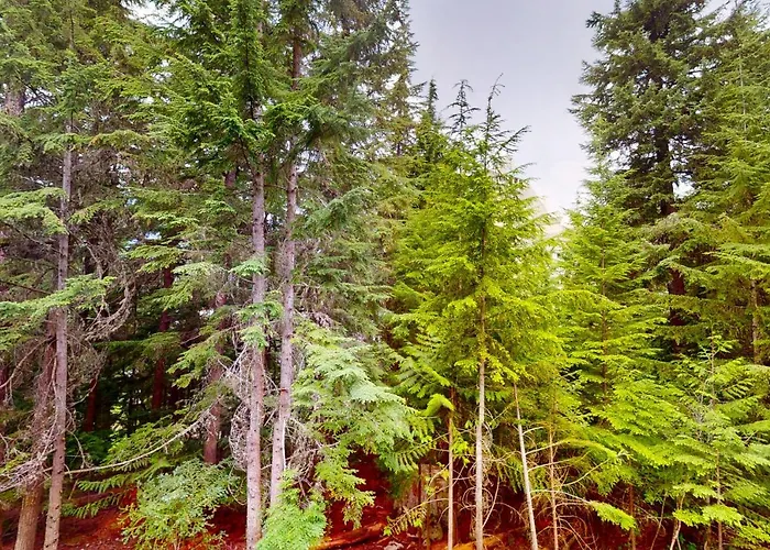 The Aspens 314 Hotel Whistler