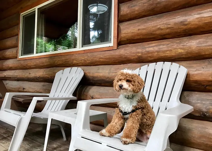 Parksville hotels near Riptide Lagoon Adventure Golf