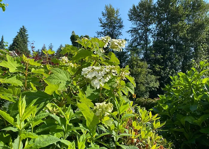 Jane'S Cozy Suite Surrey