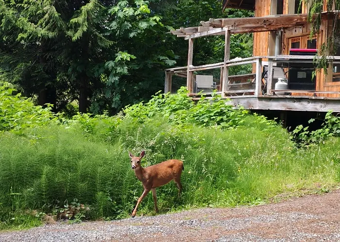 Ocean Views & Sunset Beach Cabin With Soaker Tub & Fire Pit Villa Powell River