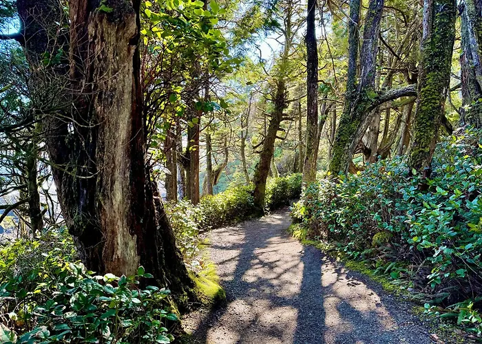 Black Rock Ridge Ucluelet