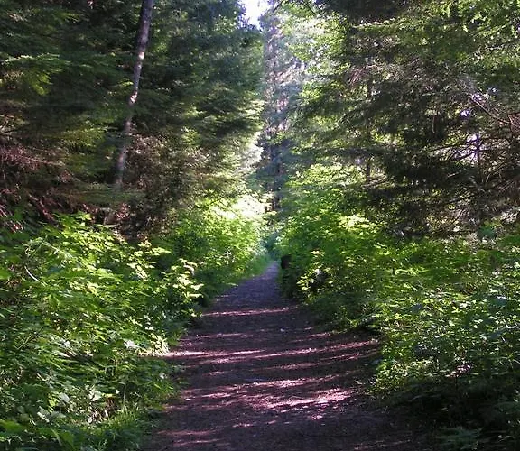 Anchor Inn Hotel Prince Rupert